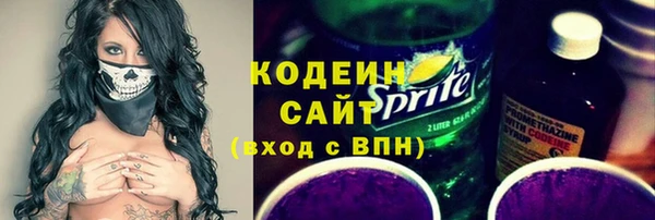 прущие грибы Алзамай