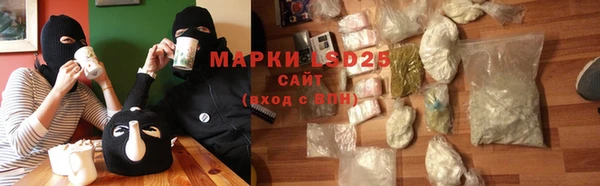 прущие грибы Алзамай
