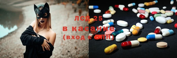 прущие грибы Алзамай