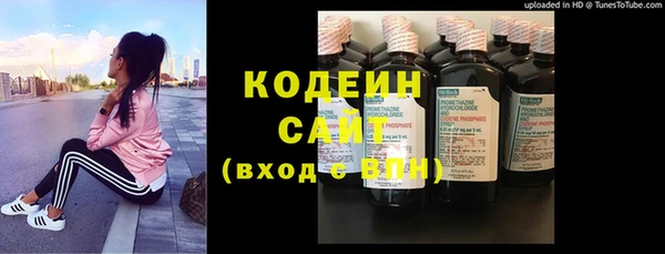 прущие грибы Алзамай