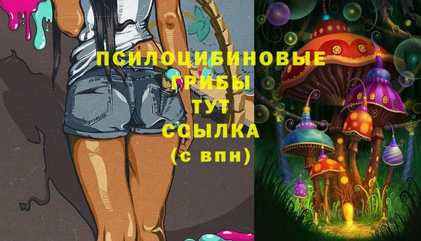 прущие грибы Алзамай