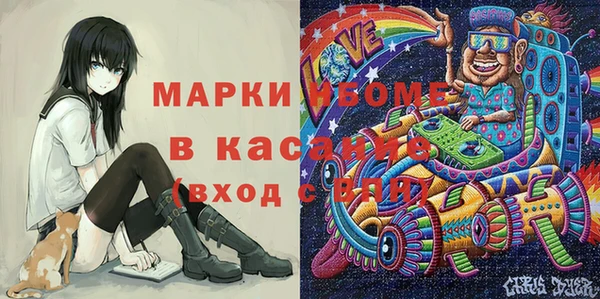 прущие грибы Алзамай