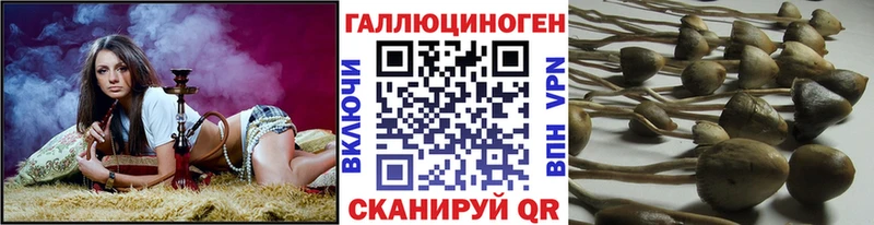 Псилоцибиновые грибы MAGIC MUSHROOMS это Telegram Сольвычегодск