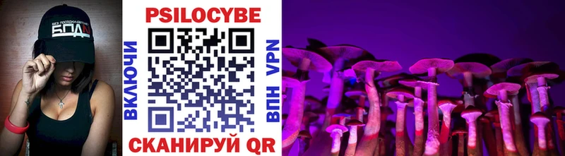 Псилоцибиновые грибы Psilocybine cubensis Сольвычегодск